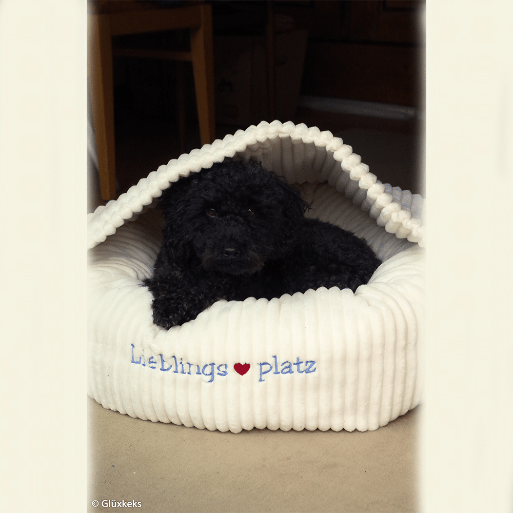 Dekostoff Samt Montevideo Swafing Dekostoff Samt Montevideo Swafing